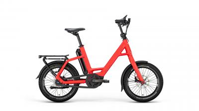 RAD QIO EINS AP-8 20