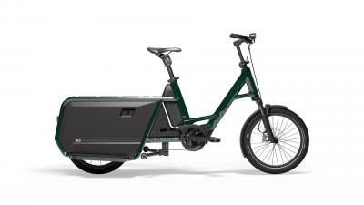 RAD QIO LONG CLAX 20